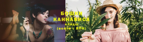 ГАЛЛЮЦИНОГЕННЫЕ ГРИБЫ Сатка