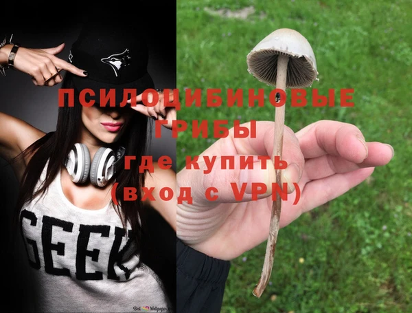 СК Саяногорск