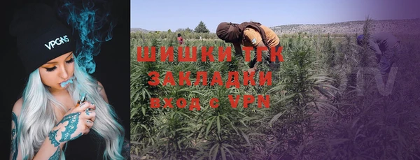 ГАЛЛЮЦИНОГЕННЫЕ ГРИБЫ Сатка
